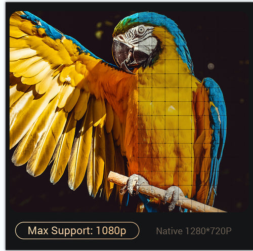 Nova 4K PTZ Projector